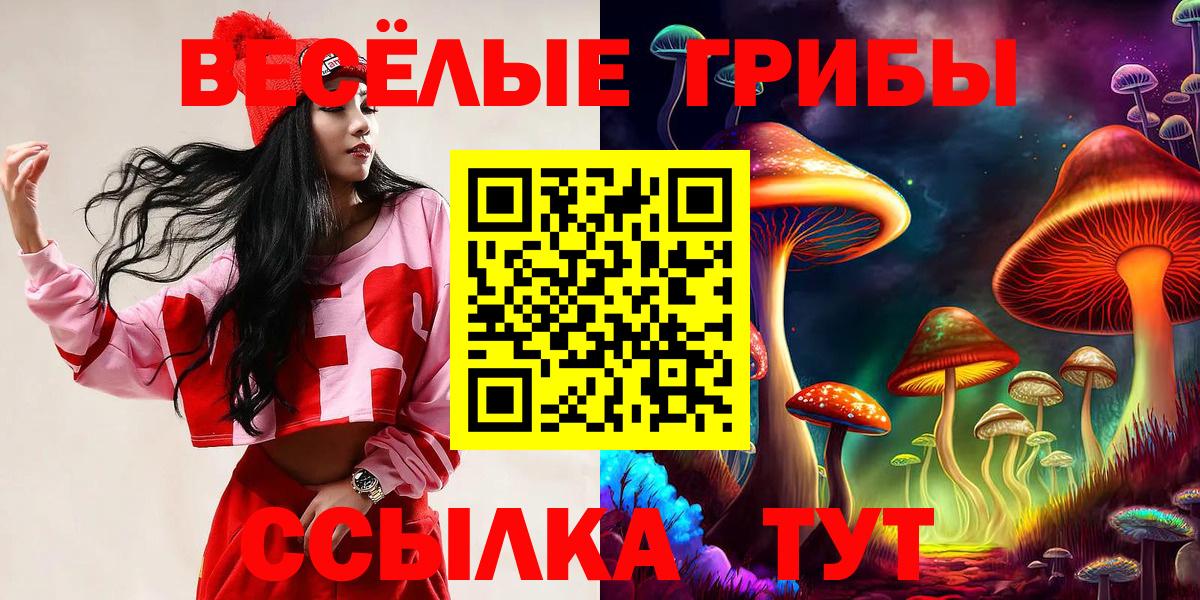 Приморско-Ахтарск  Псилоцибиновые грибы Psilocybine cubensis  Вход с VPN  Галлюциногенные грибы прущие грибы 