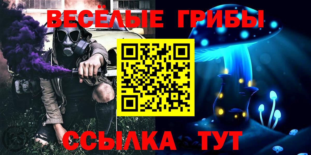 Псилоцибиновые грибы GOLDEN TEACHER Приморско-Ахтарск